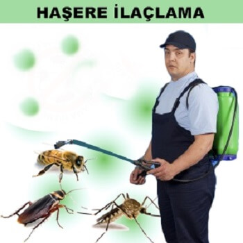 İskilip Böcek İlaçlama